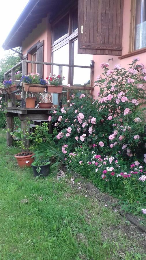 Il Pettirosso Di Giusvalla Dış mekan fotoğraf
