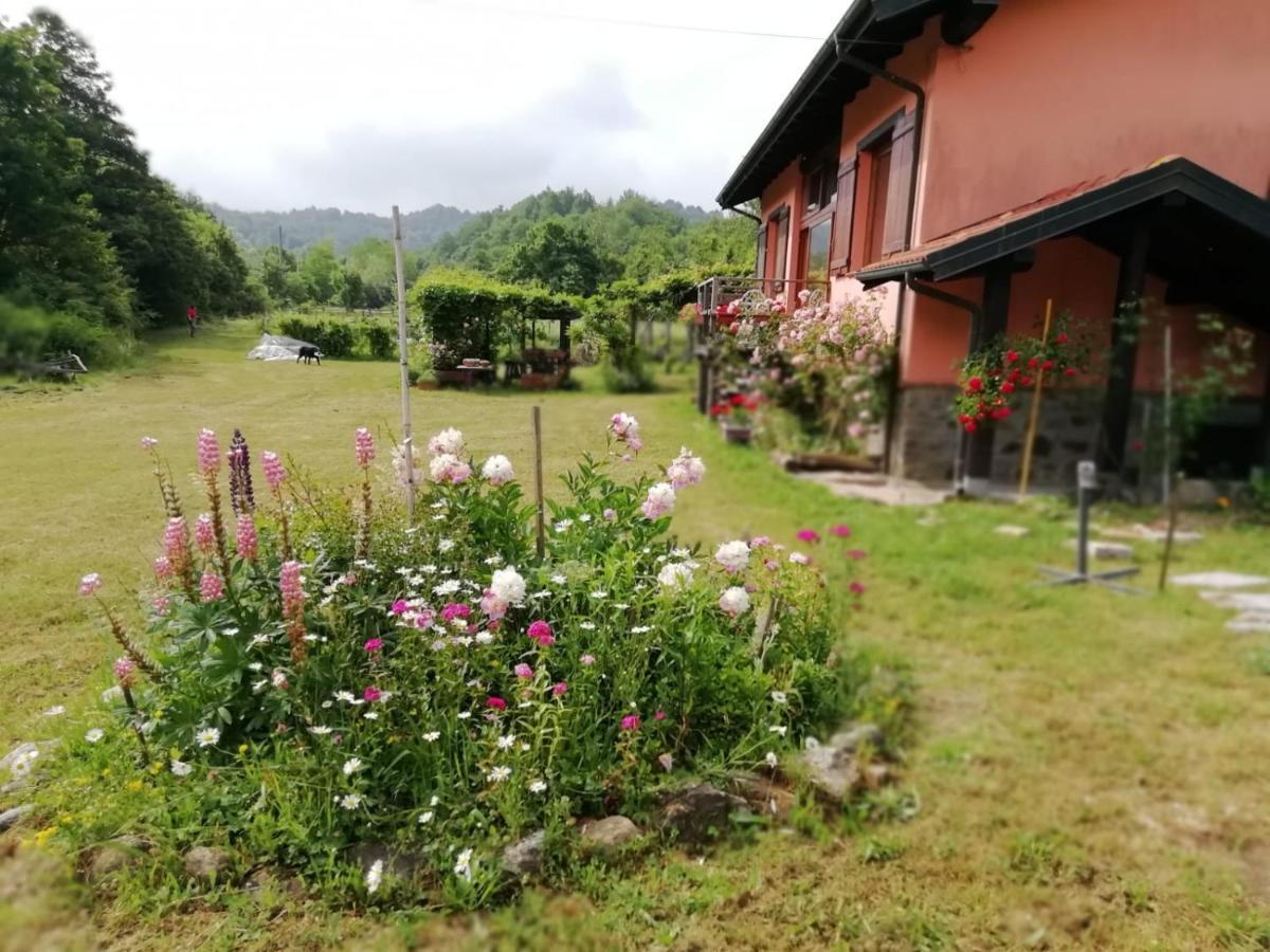 Il Pettirosso Di Giusvalla Dış mekan fotoğraf